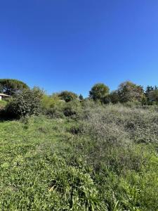 Acheter Terrain Toulouse Haute garonne