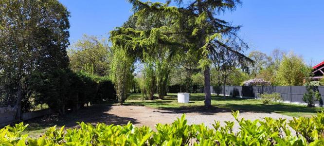 Annonce Vente Terrain Seysses 31