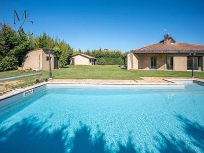 Acheter Maison 165 m2 Muret