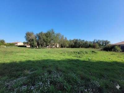 Annonce Vente Terrain Longages 31