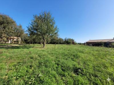 Acheter Terrain 1050 m2 Longages