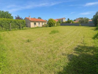 Annonce Vente Terrain Fenouillet 31