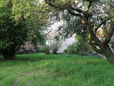 Acheter Immeuble 245 m2 Tagniere