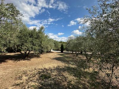 Acheter Maison Lorgues Var