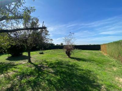 Annonce Vente Terrain Gratentour 31