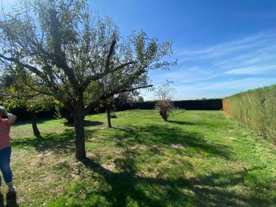 Acheter Terrain 684 m2 Gratentour