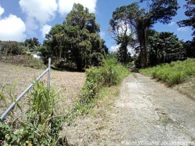 For sale Robert 1661 m2 Martinique (97231) photo 1