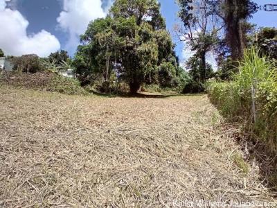 For sale Robert 1661 m2 Martinique (97231) photo 2