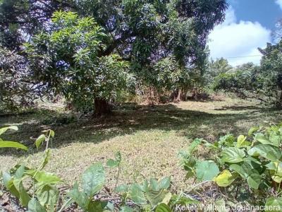 For sale Robert 1661 m2 Martinique (97231) photo 3