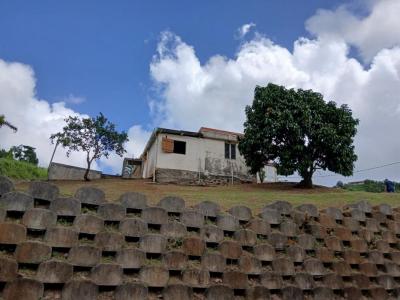 For sale Saint-esprit 1450 m2 Martinique (97270) photo 3