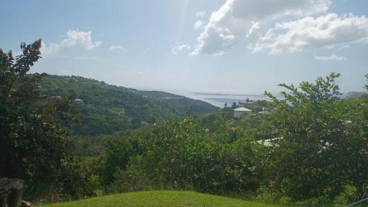 Annonce Vente Terrain Carbet 972