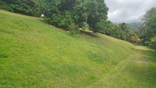 Acheter Terrain Carbet 196350 euros