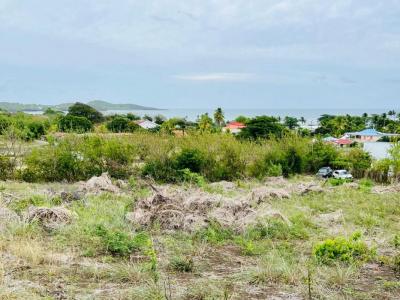 Annonce Vente Terrain Vauclin 972