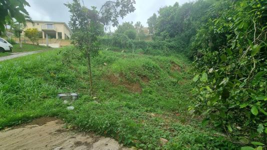 Annonce Vente Terrain Fort-de-france 972