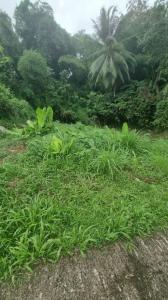 Acheter Terrain Fort-de-france