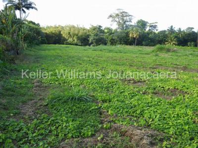 Acheter Terrain 837 m2 Basse-pointe