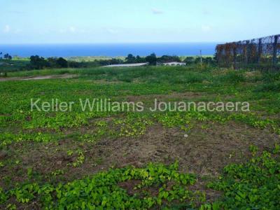 Acheter Terrain Basse-pointe 80000 euros