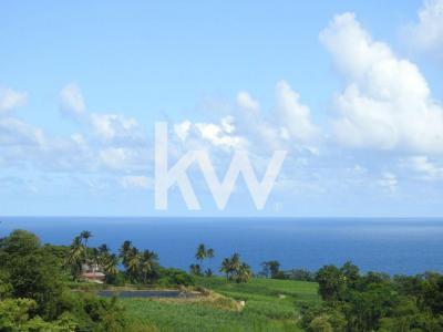 Annonce Vente Terrain Basse-pointe 972