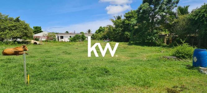 Acheter Terrain 781 m2 Saint-francois