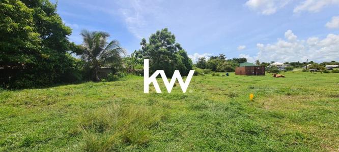 Acheter Terrain Saint-francois Guadeloupe