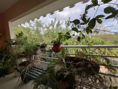 Annonce Vente 4 pices Appartement Schoelcher 972
