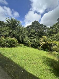 Louer Maison 97 m2 Saint-joseph