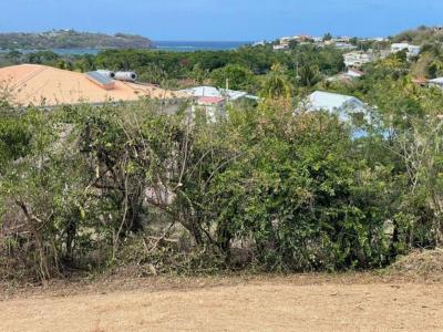 Annonce Vente Terrain Vauclin 972