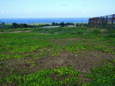 Acheter Terrain 800 m2 Basse-pointe