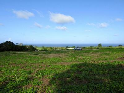 Acheter Terrain Basse-pointe Martinique