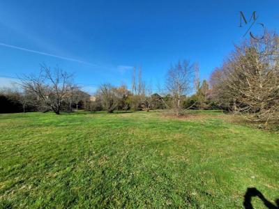 Annonce Vente Terrain Escalquens 31