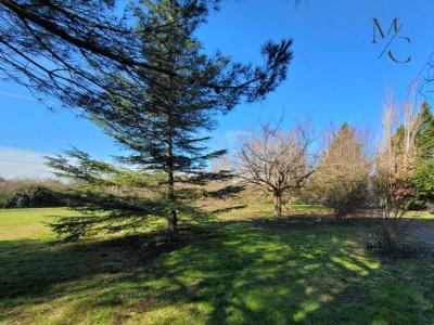 Acheter Terrain 700 m2 Escalquens