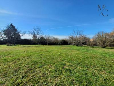 Annonce Vente Terrain Escalquens 31