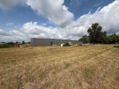 Acheter Commerce Albias 259000 euros
