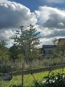 Annonce Vente Terrain  09