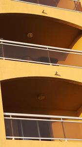Acheter Appartement  750 euros
