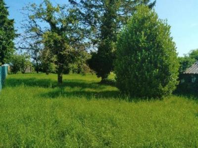 For sale Salins 1640 m2 Seine et marne (77148) photo 2