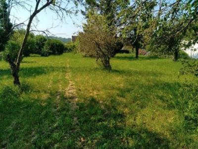 For sale Salins 1640 m2 Seine et marne (77148) photo 3
