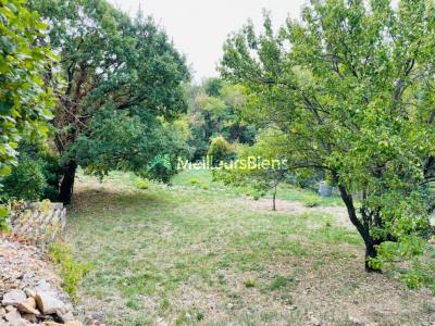 Acheter Terrain 500 m2 Lodeve