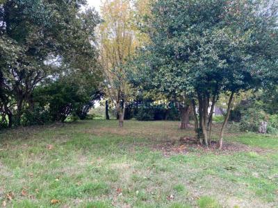 Acheter Maison 62 m2 Ares