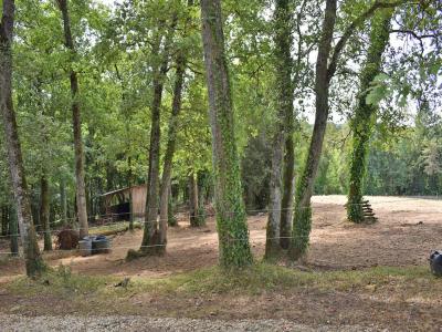 For sale Saint-genies 5 rooms 140 m2 Dordogne (24590) photo 3