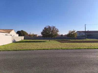 Acheter Terrain 1300 m2 Saint-saturnin-du-bois