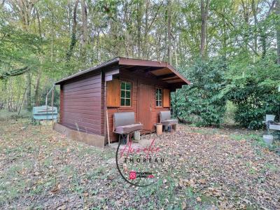 Annonce Vente Terrain Fay-aux-loges 45