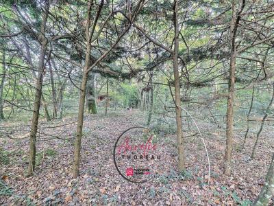 Acheter Terrain Fay-aux-loges Loiret