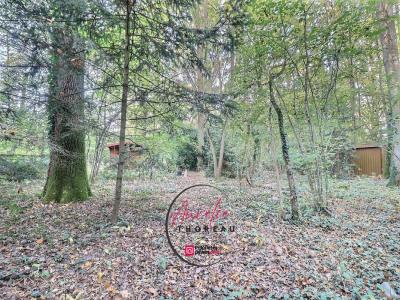 Acheter Terrain Fay-aux-loges 17990 euros