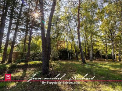 For sale Chatillon-sur-cher 7 rooms 150 m2 Loir et cher (41130) photo 2