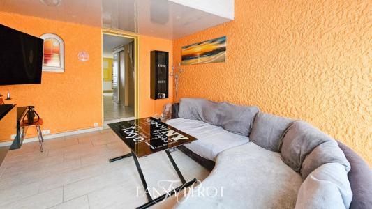 Acheter Maison 66 m2 Saint-cyprien