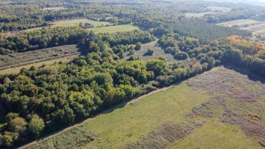 For sale Langon 32767 m2 Loir et cher (41320) photo 1