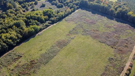 For sale Langon 32767 m2 Loir et cher (41320) photo 2