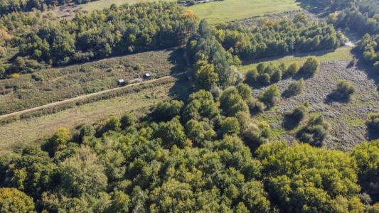 For sale Langon 32767 m2 Loir et cher (41320) photo 4