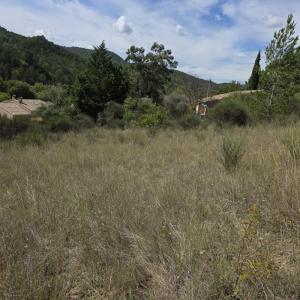 Acheter Terrain Buis-les-baronnies Drome